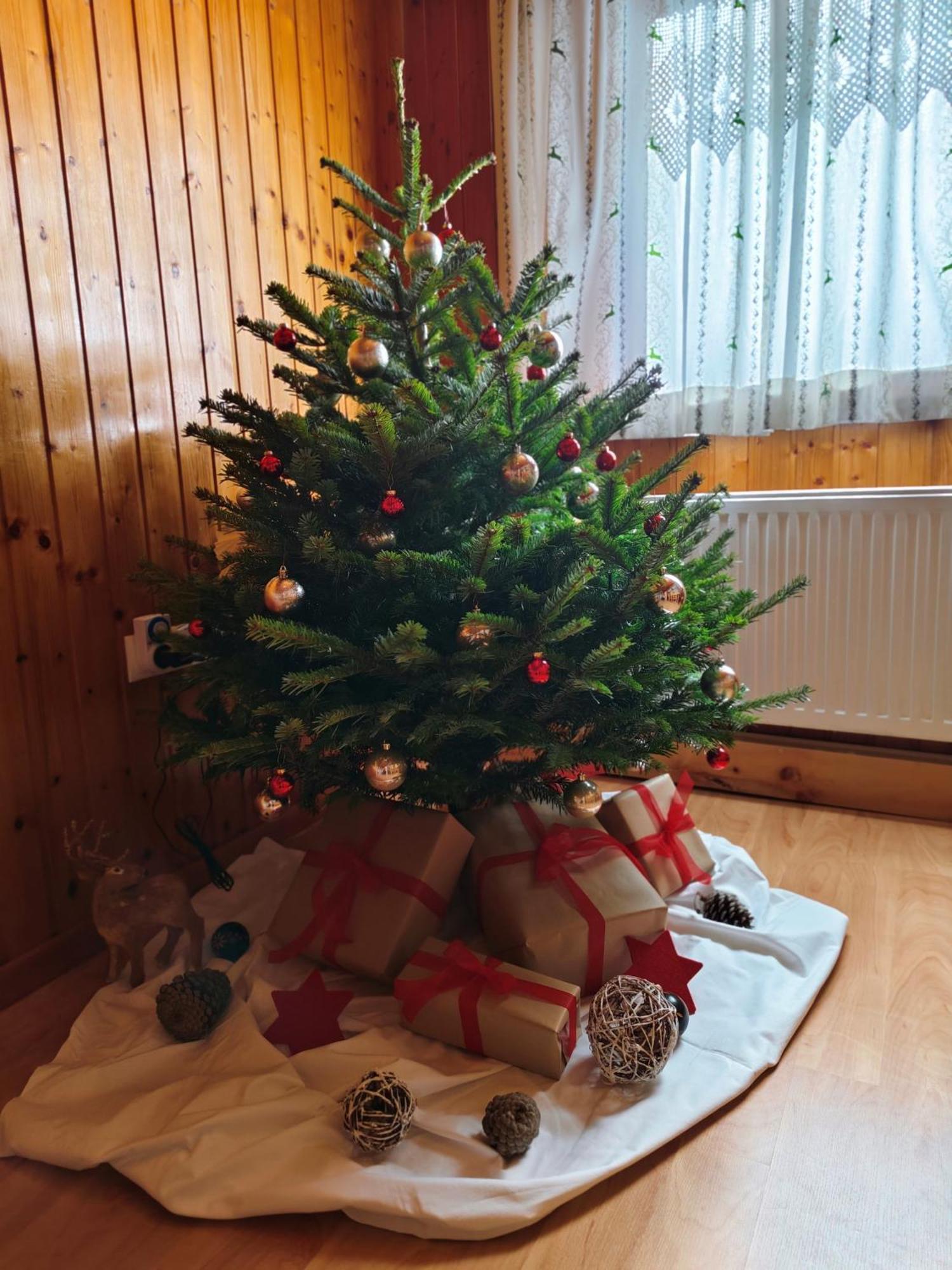 Erwin'S Apartment Bildstein Екстериор снимка